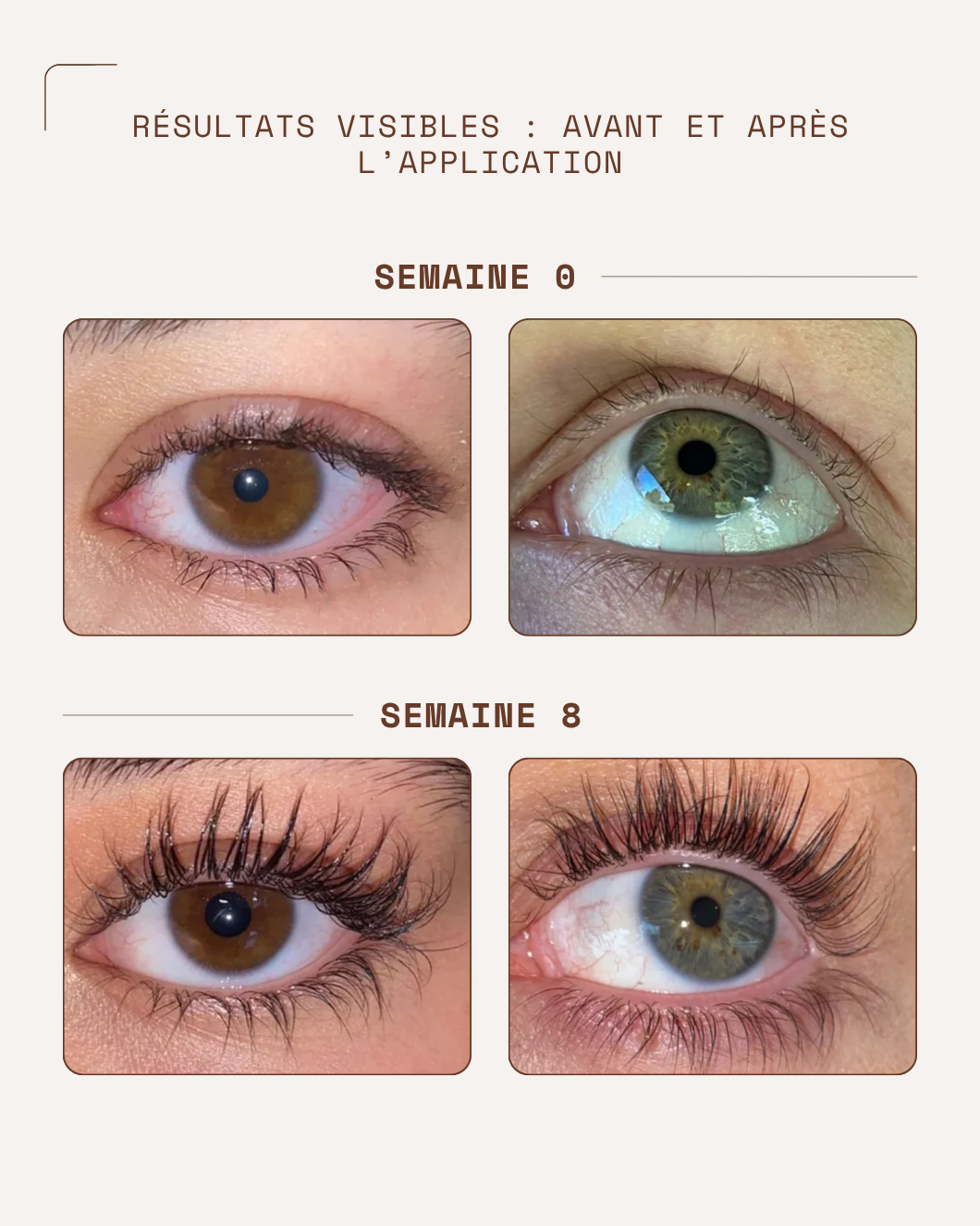 NAALYA – Sérum Cils | Force & Longueur