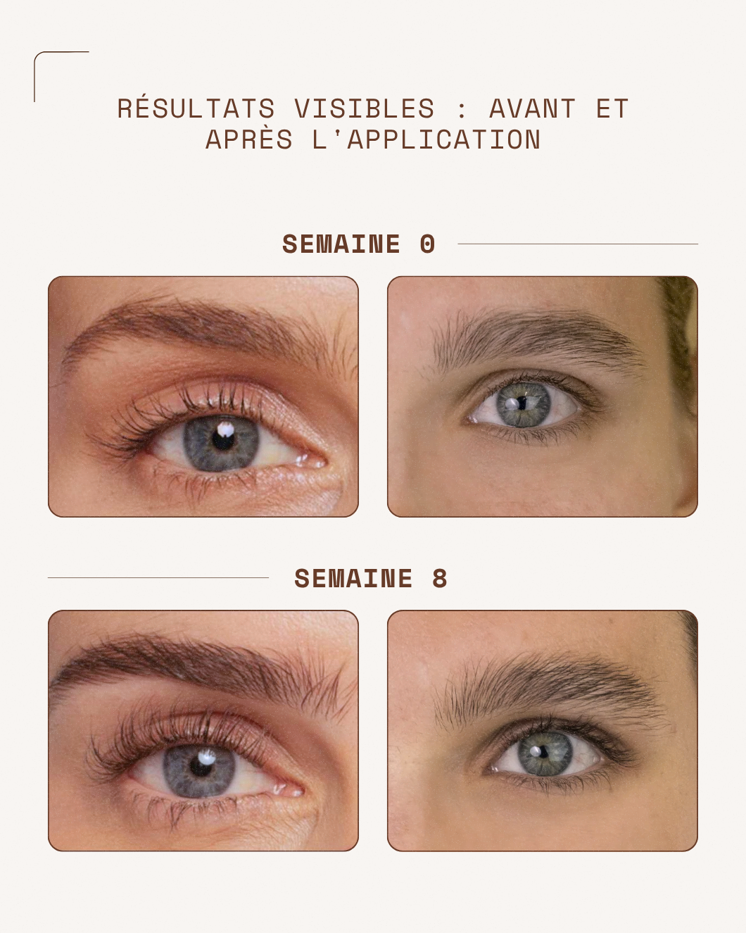 NAALYA – Duo Sérum Sourcils & Mascara Premium